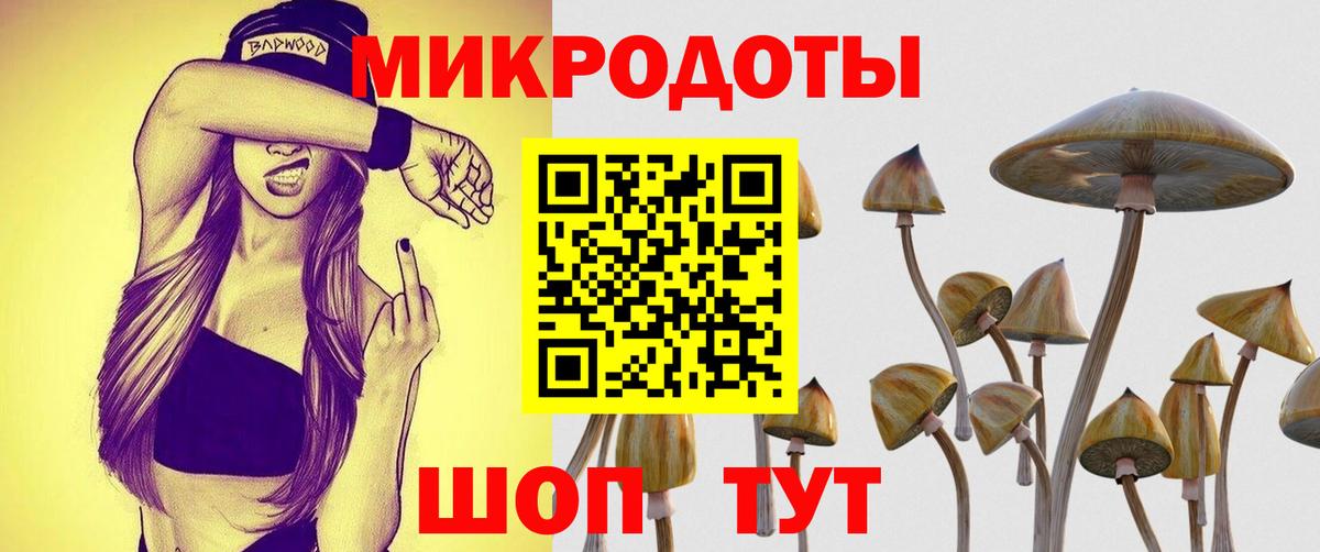 Минусинск  Галлюциногенные грибы мухоморы  Вход с VPN 
